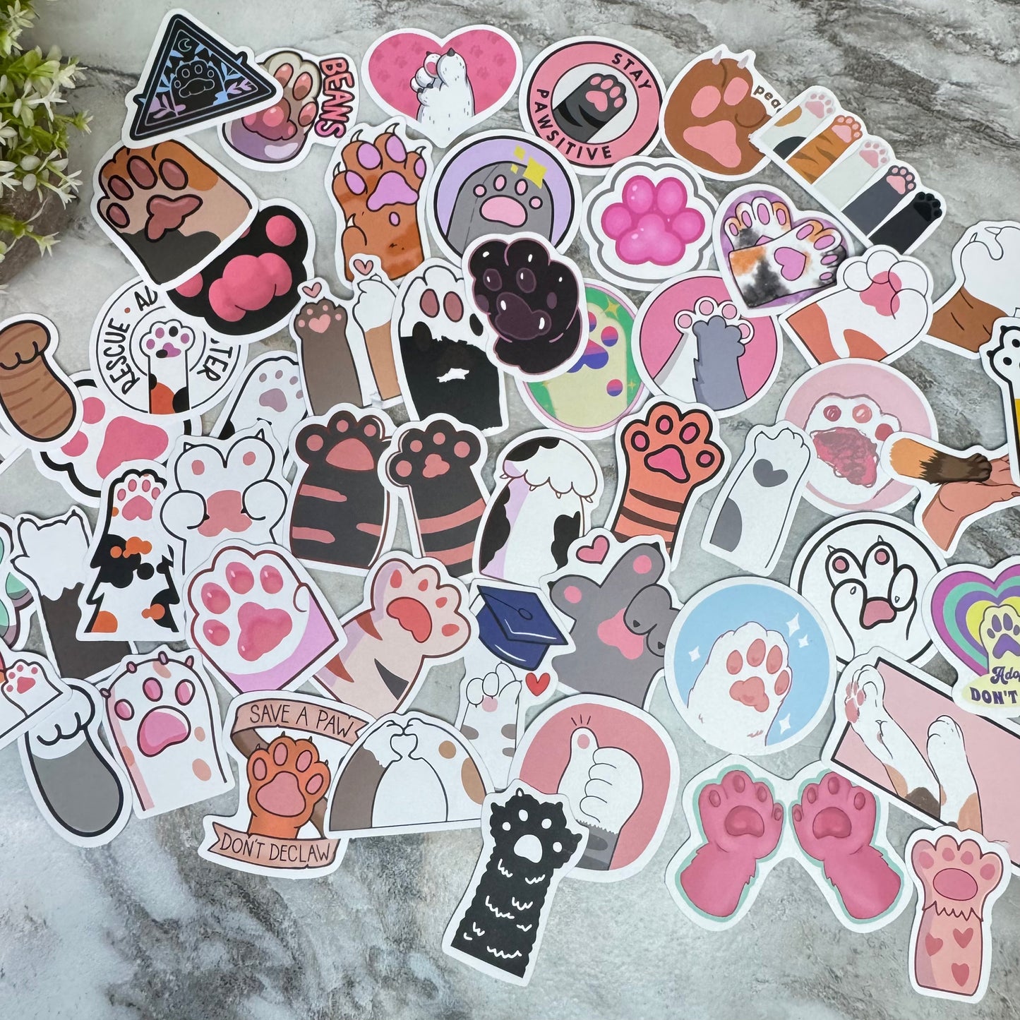 Stickers - Cat Paw