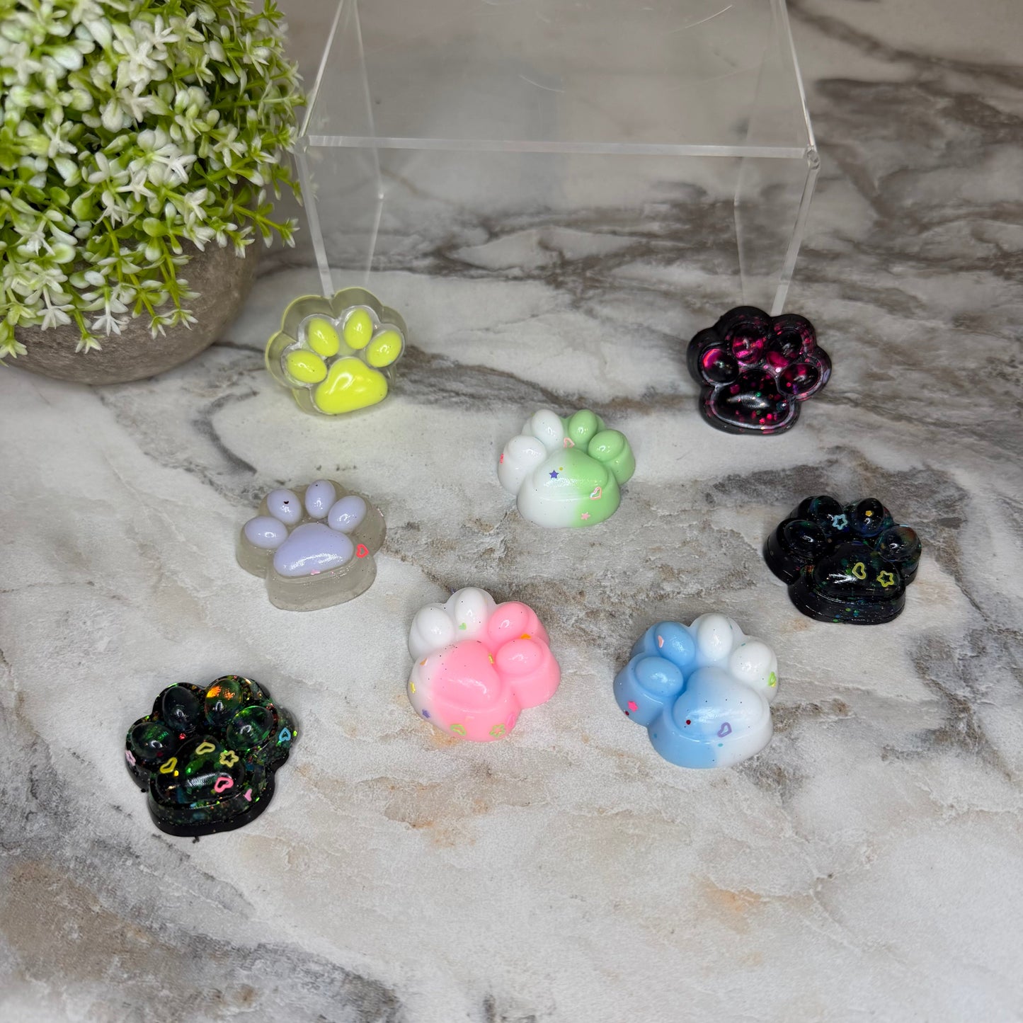 Squishy Toy - Mini Paw Taba