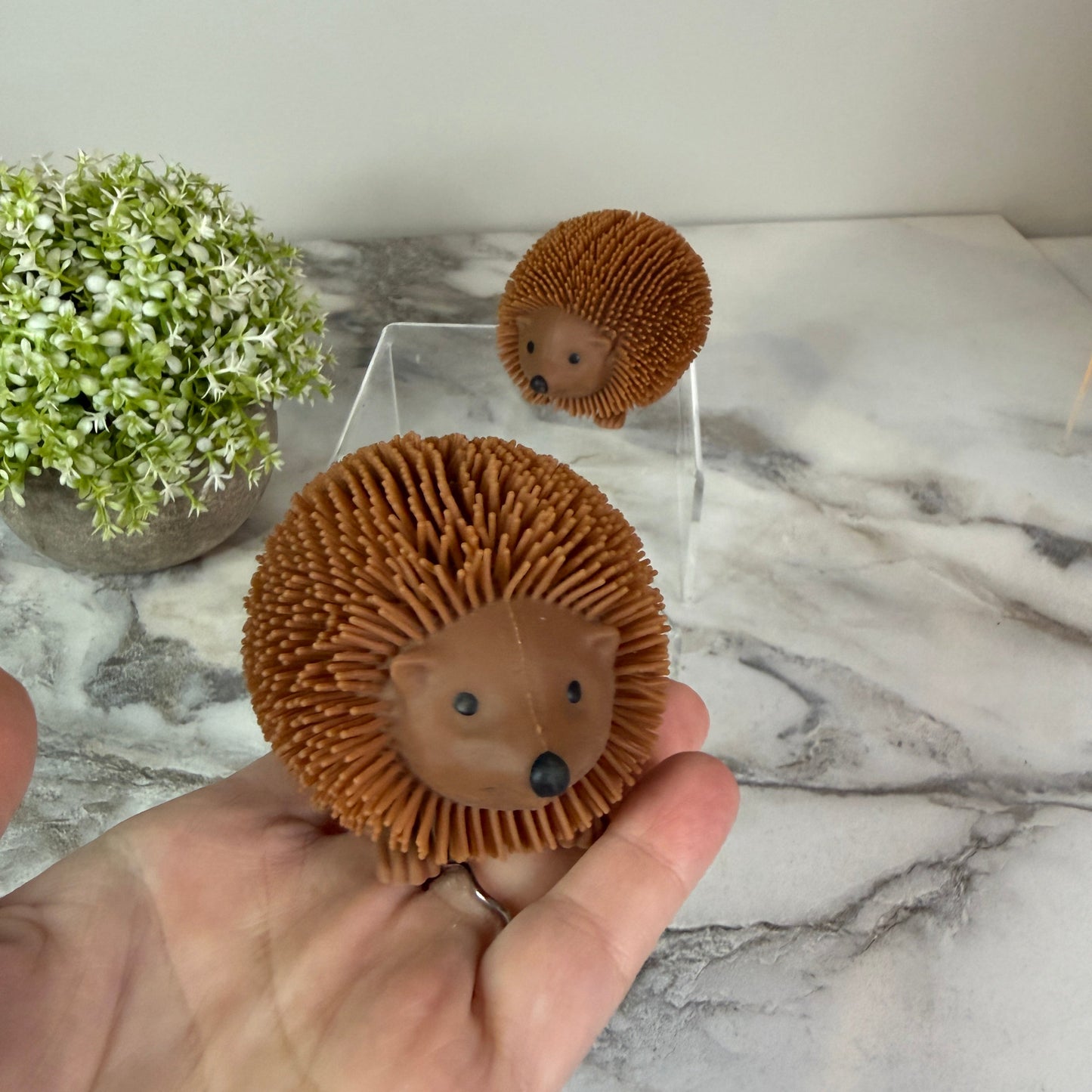 Squishy Toy - Hedgehog