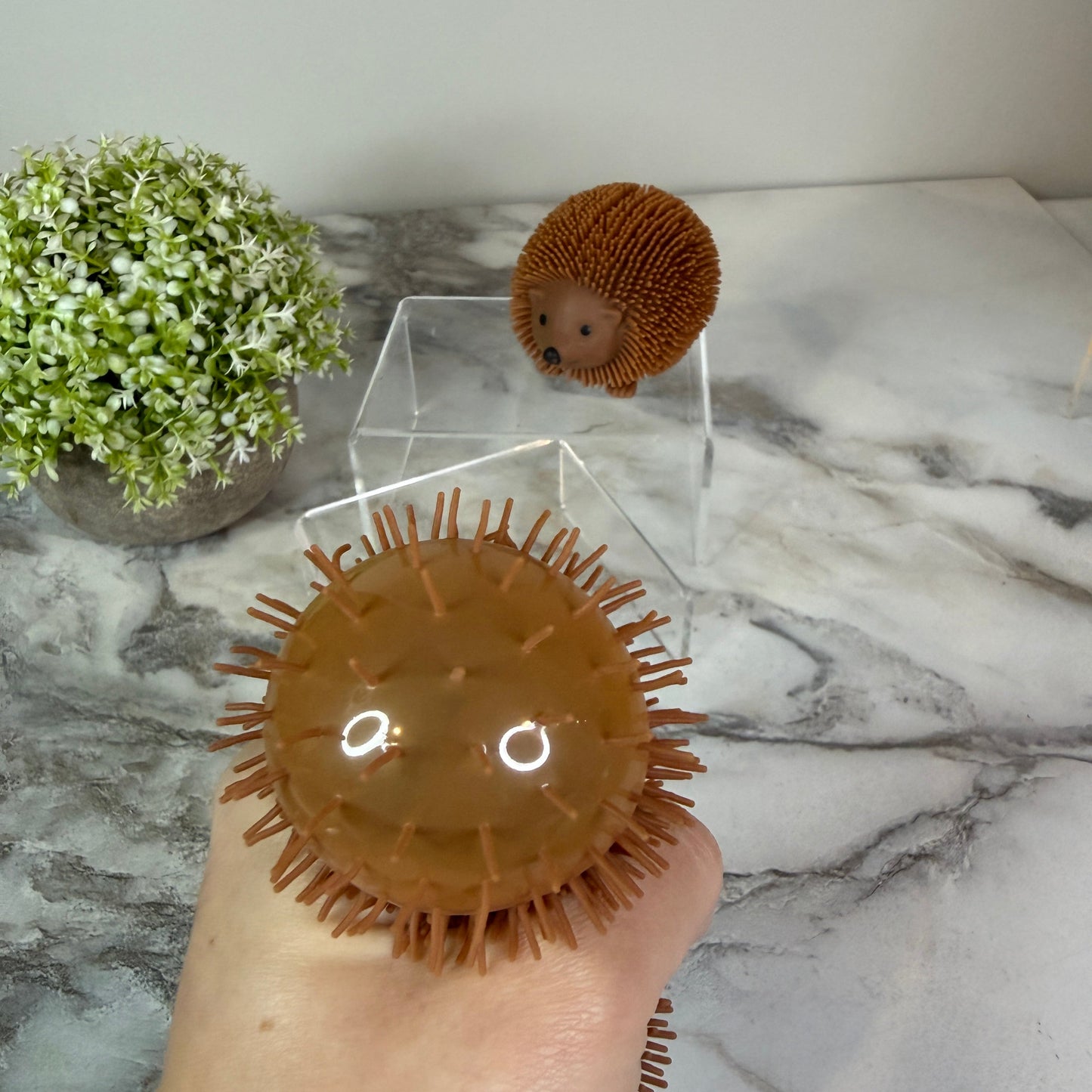 Squishy Toy - Hedgehog