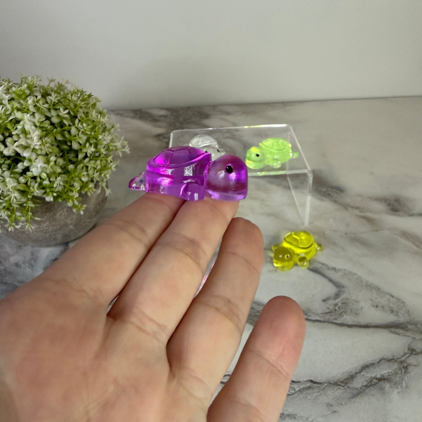 Squishy Toy - Clear Turtle