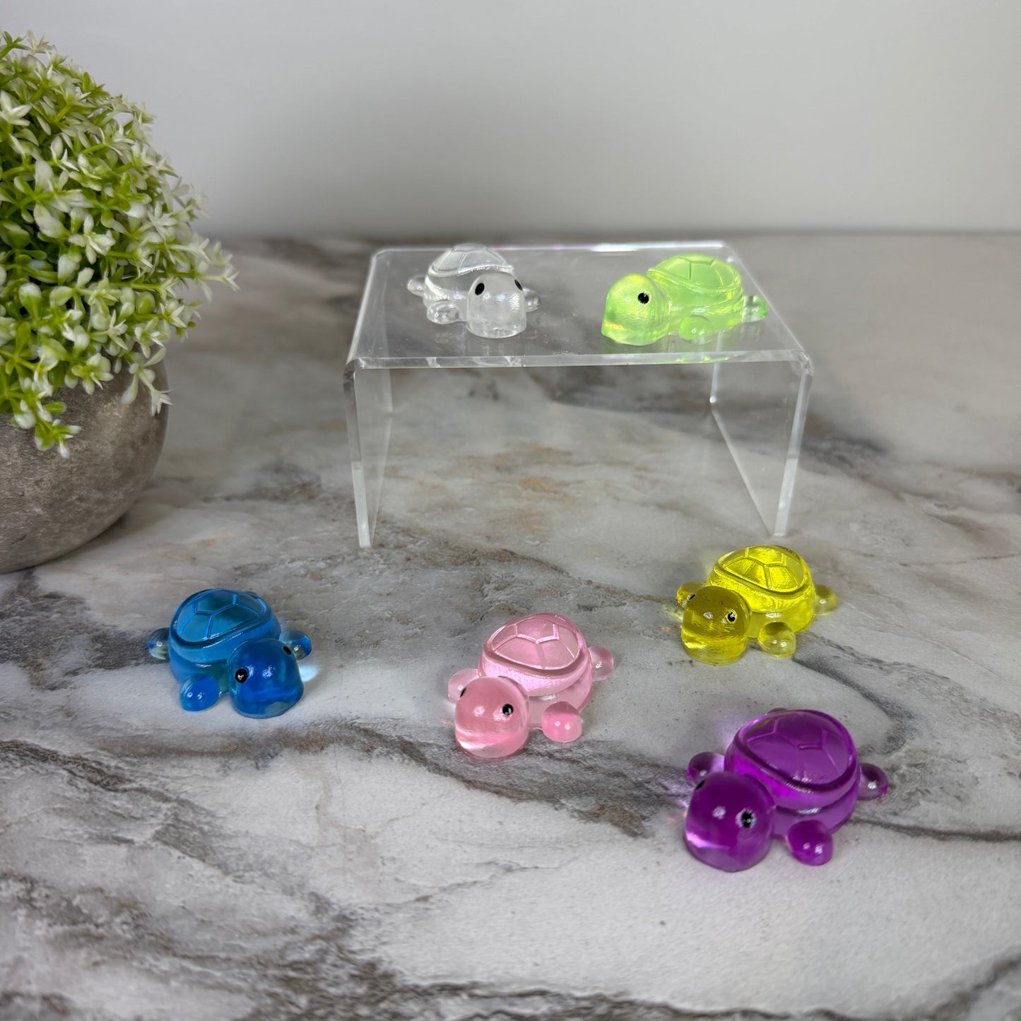 Squishy Toy - Clear Turtle